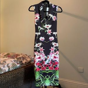 Ted Baker midi body con dress